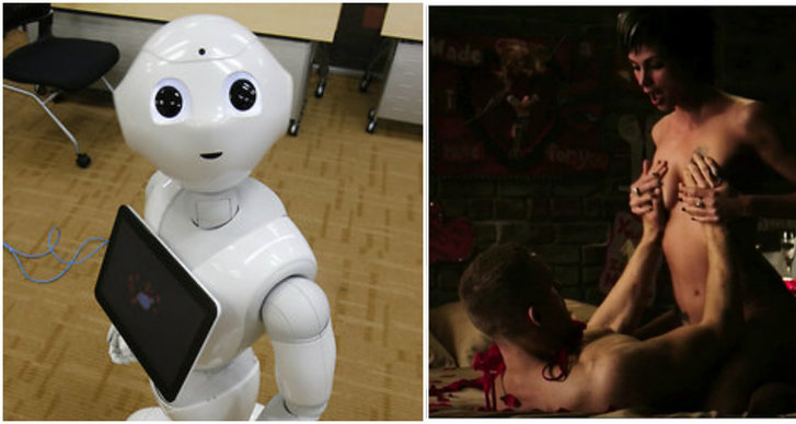 Framtiden, Robot, Sex- och samlevnad, robotsex
