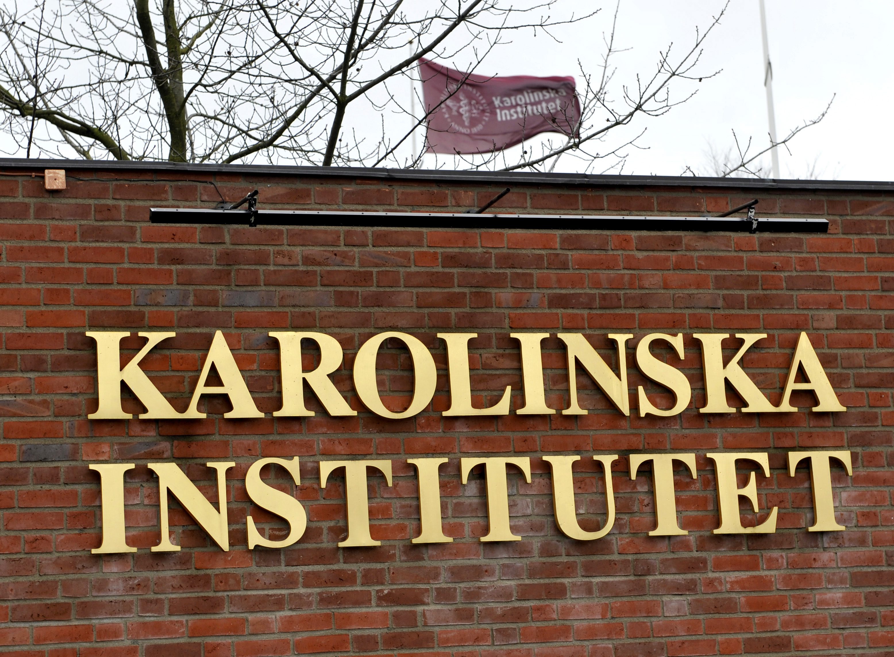 På regeringens uppdrag har Karolinska institutet genomför en utredning av garantin.
