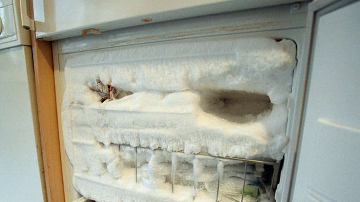 I frysen – som förmodligen var större än den här – hittades kroppen av en helt intakt äldre dam.