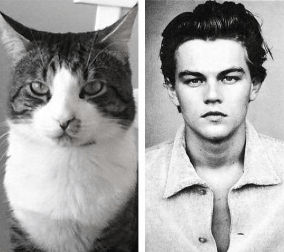 Leonardo DiCaprio. Leonardo DiCaprio.
