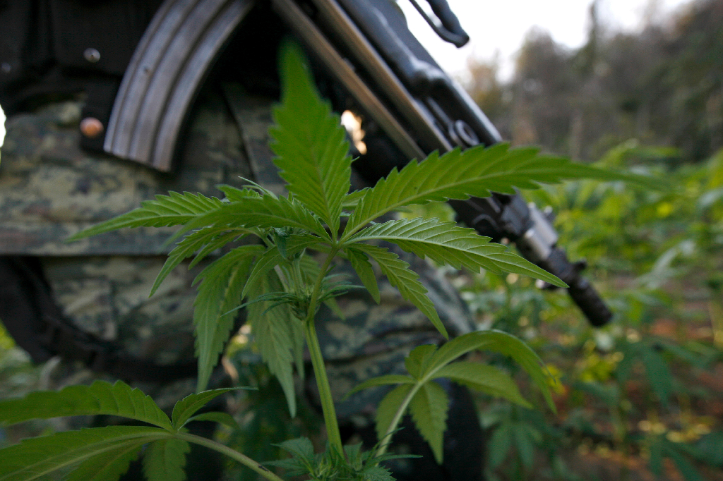 Enligt en talesperson för gränsbevakningen i San Diego-distriktet hittar de marijuana ibland men aldrig någonsin tidigare har de hittat fyra ton.