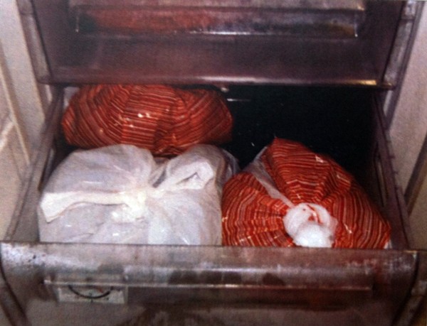 I kvinnans frys hittade polisen flera plastpåsar fulla av döda kattungar.