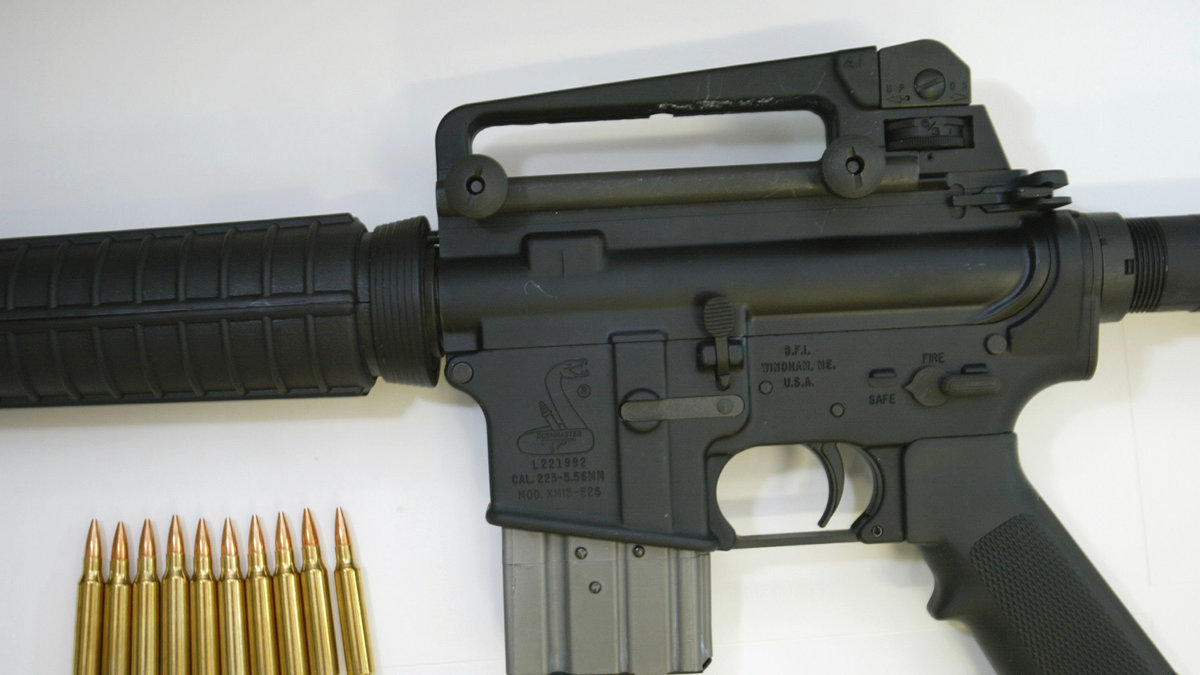 Bushmaster AR15 - ett liknande vapen som användes under dådet på fredagen.