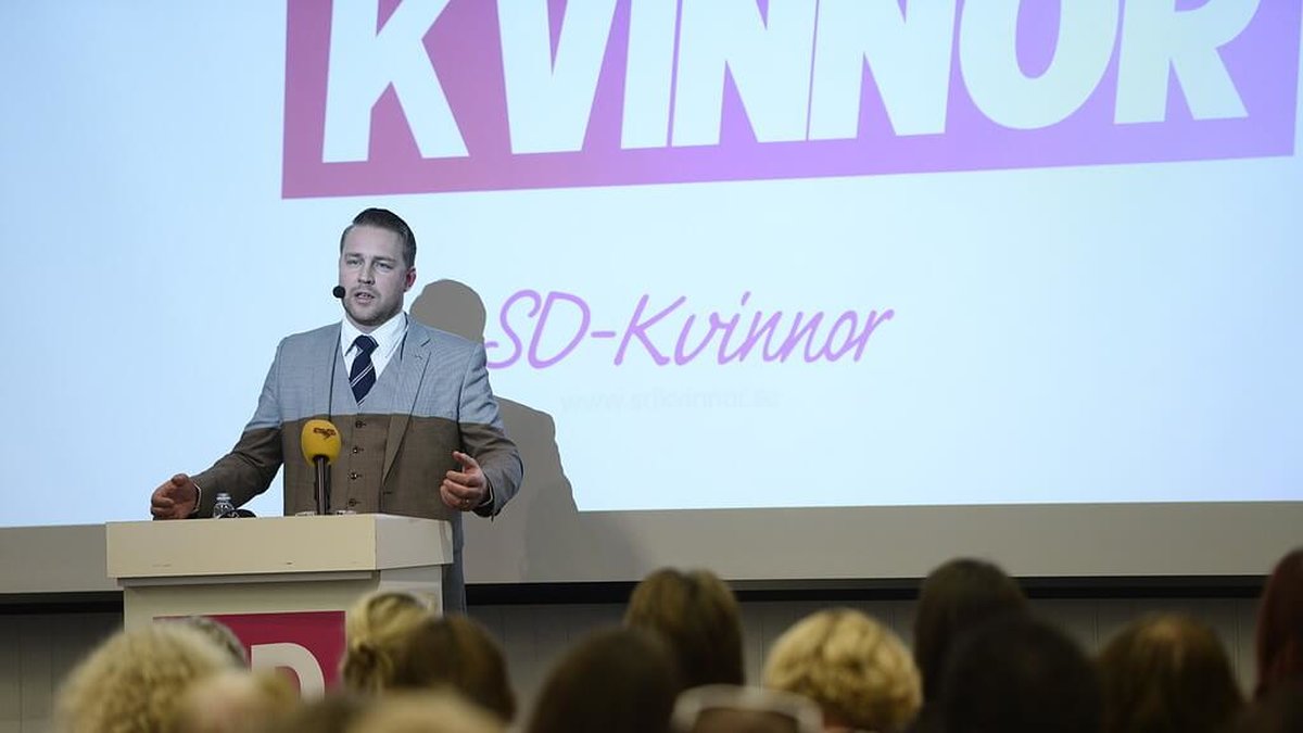 Mattias Karlsson, Sverigedemokraternas gruppledare i riksdagen, talade. 