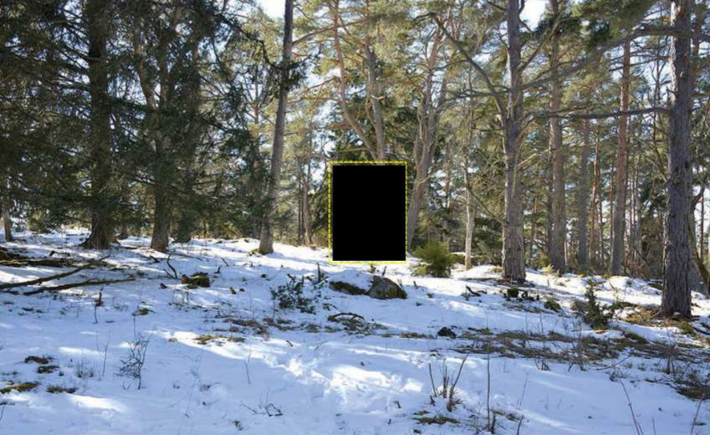 Här, på en höjd i en skog i Hjälstavikens naturreservat, hittades det 26-årige offret hängd i ett träd. Bild ur polisens förundersökning.