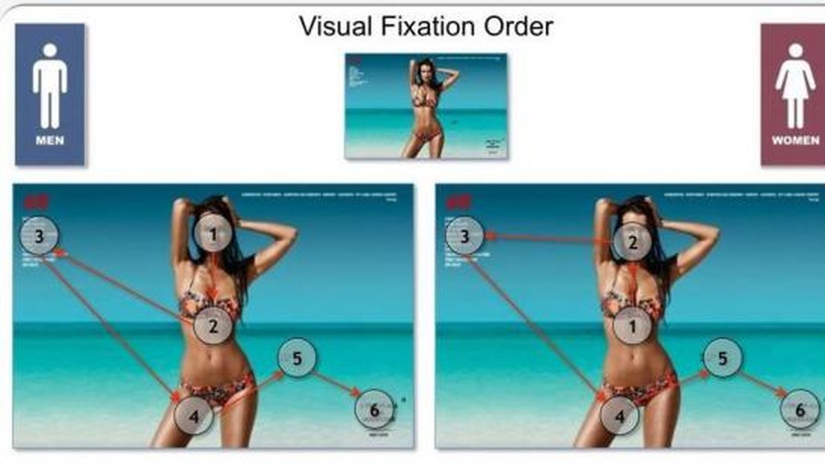 Kvinnor tittade först på modellens bröst medan män tittade på ansiktet först. 