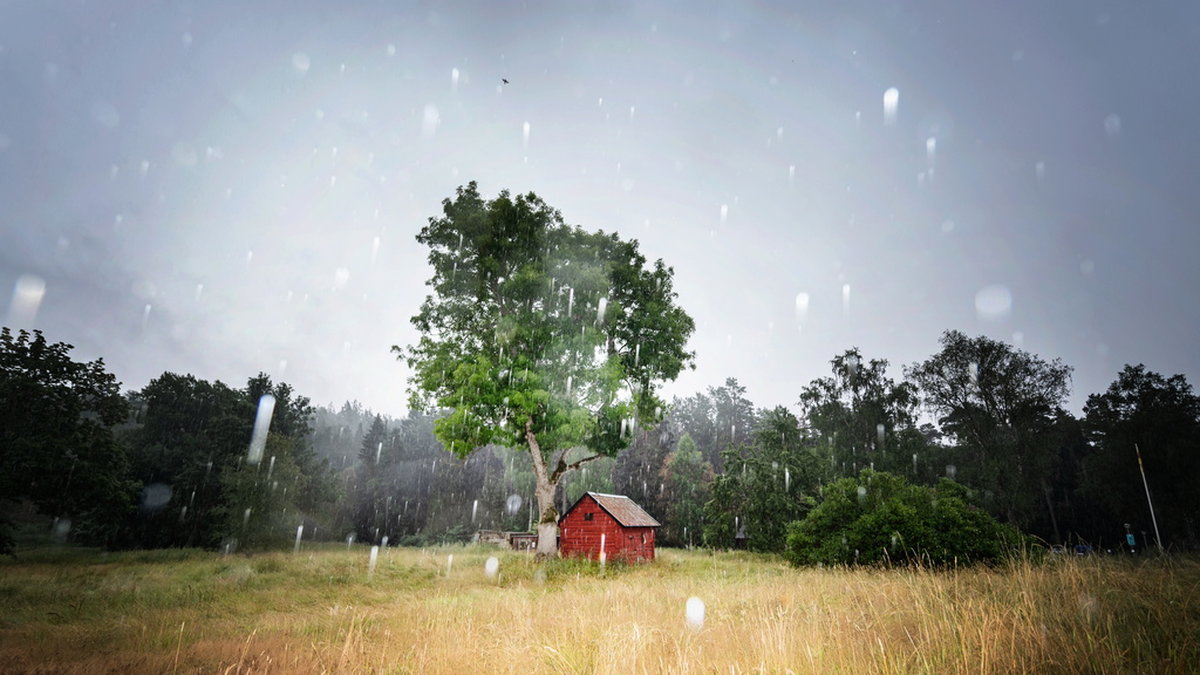 Det blir klassiskt svenskt sommarväder de kommande dagarna, med plats för sol, regn och moln.
