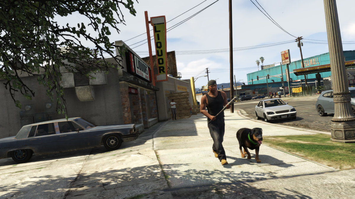 Grand Theft Auto V är ett så kallat "öppen värld"-spel.