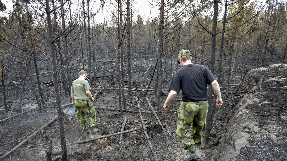 Per Ezelius och Per Axelsson från hemvärnets nationella skyddsstyrka ser på förödelsen där skogsbranden dragit fram vid Seglingsberg i Västmanland.