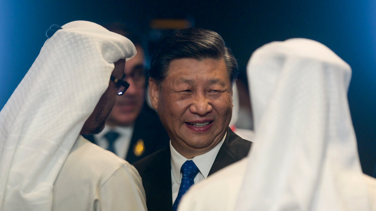 Kinas president Xi Jinping samtalar med Förenade arabemiratens president under G20-mötet på Bali.