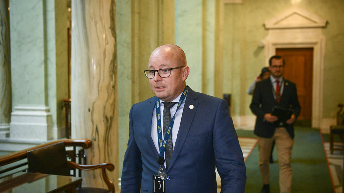 Sverigedemokraternas Björn Söder vid förstakammarsalen förra året.