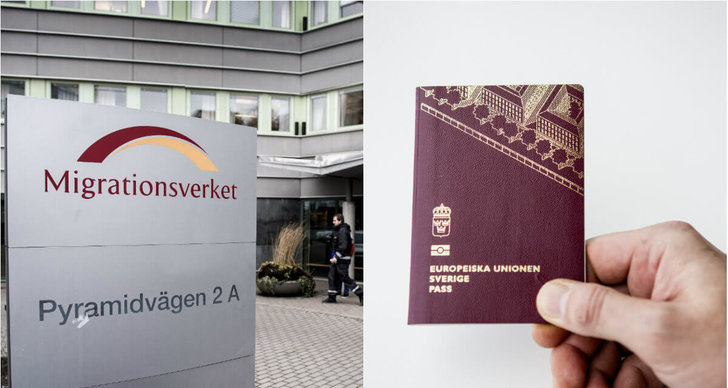 Antal, Medborgarskap, Undersökning, Sverige