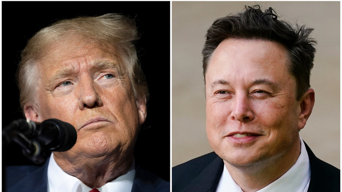Den tidigare presidenten Donald Trump hoppas att multimiljardären Elon Musk ska ge honom kampanjstöd, enligt amerikanska medier. Arkivbild
