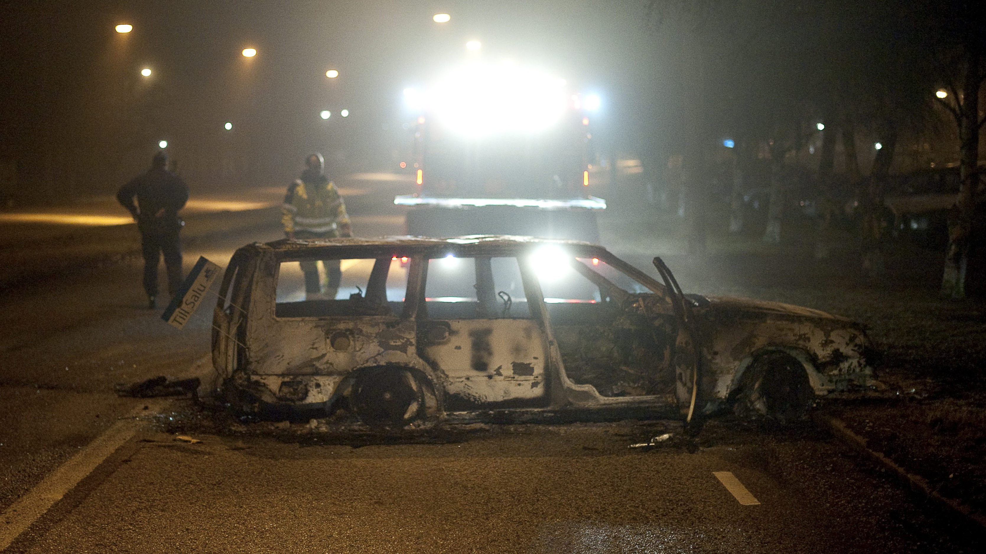 Totalt elva bilar vandaliserades eller satte i brand under natten.