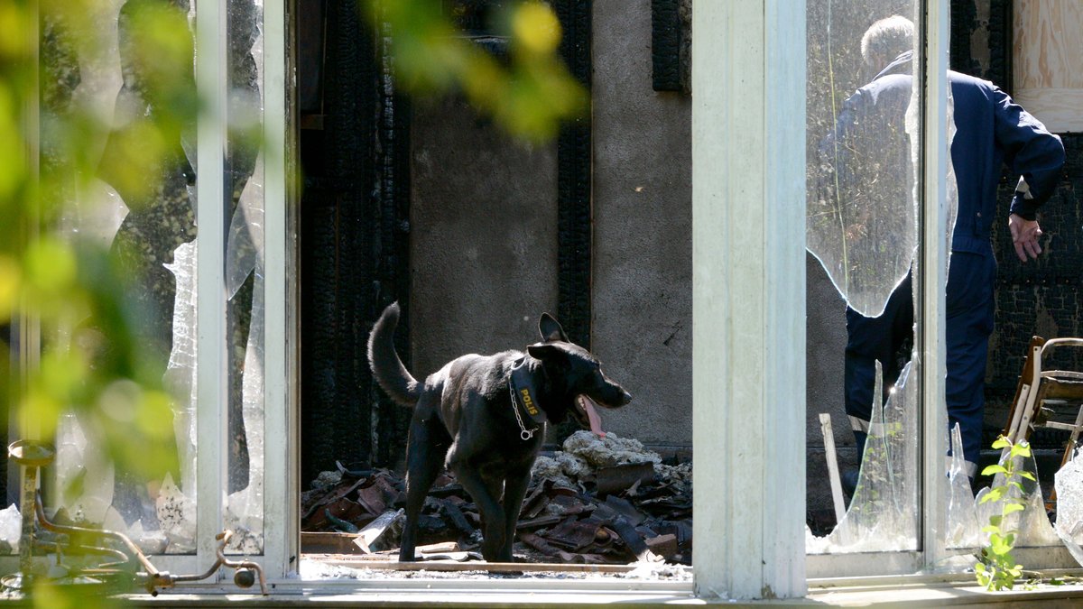 En specialutbildad hund söker efter brandfarliga vätskor.