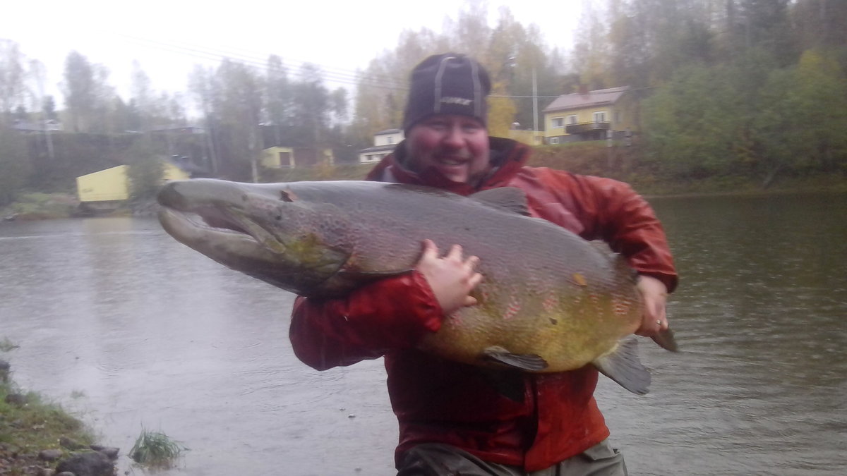 Glad kille! Magnus från Bergsjön fick en 25-kilo tung lax på kroken.