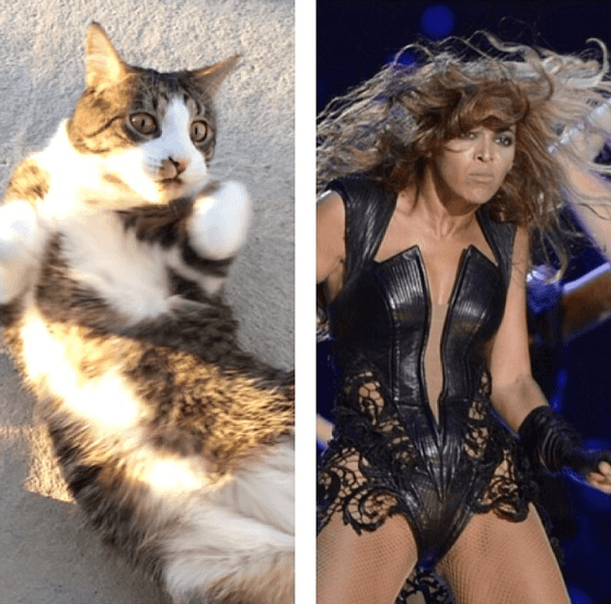 Beyoncé – igen. Beyoncé – igen.