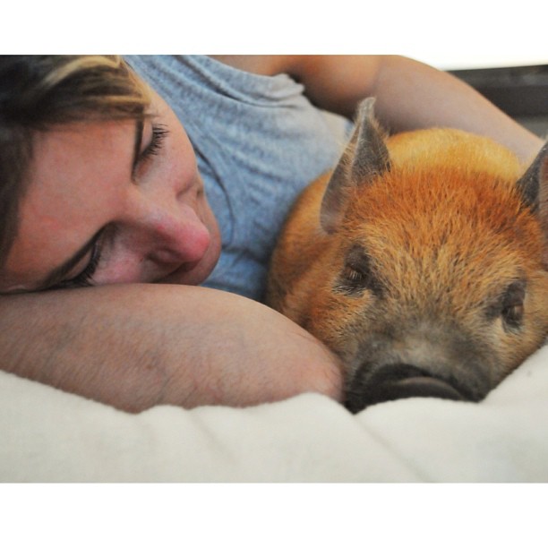 Myser med "mamma". Myser med "mamma".