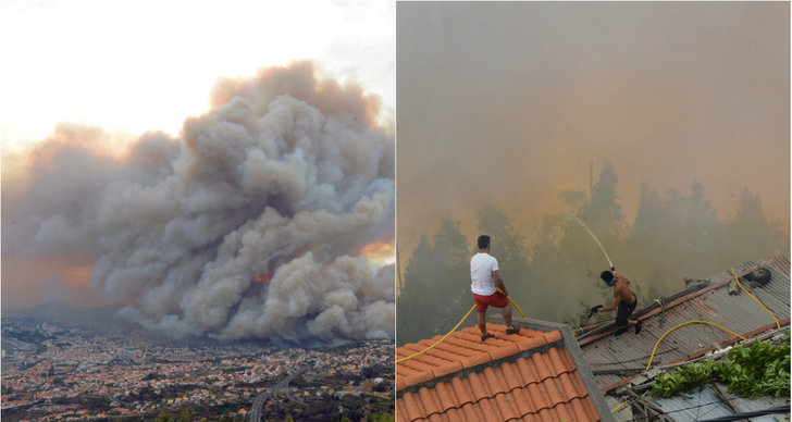 Bränder, Madeira, Portugal, Skogsbrand