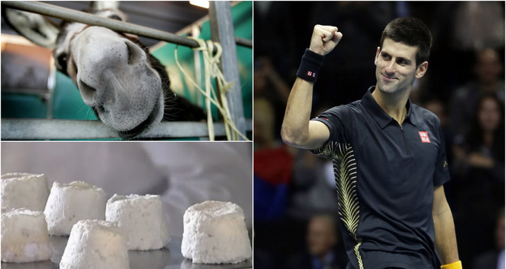Restaurangkedja, Novak Djokovic, Serbien, Tennis