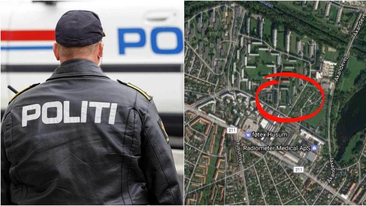 Flera personer har hittats döda i en lägenhet i Köpenhamn.
