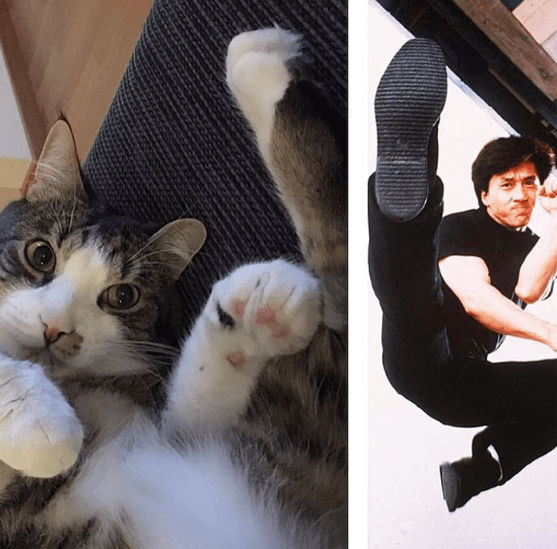 Jackie Chan. Jackie Chan.