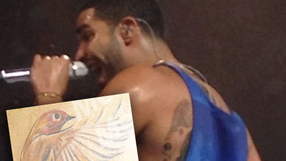 Precis över porträttet av Aaliyah har Drake tatuerat en rosa fågel, och texten "XO20" i svart och rött. Fågeln och texten refererar till Drakes entourage på 20 vänner, däribland artisten The Weeknd, och även på drogerna ecstasy och oxycodone. The Weeknds tagline är även "Xo till we overdose". X står för Ecstasy, O för Oxycodone, skriver Popstartats.com. 