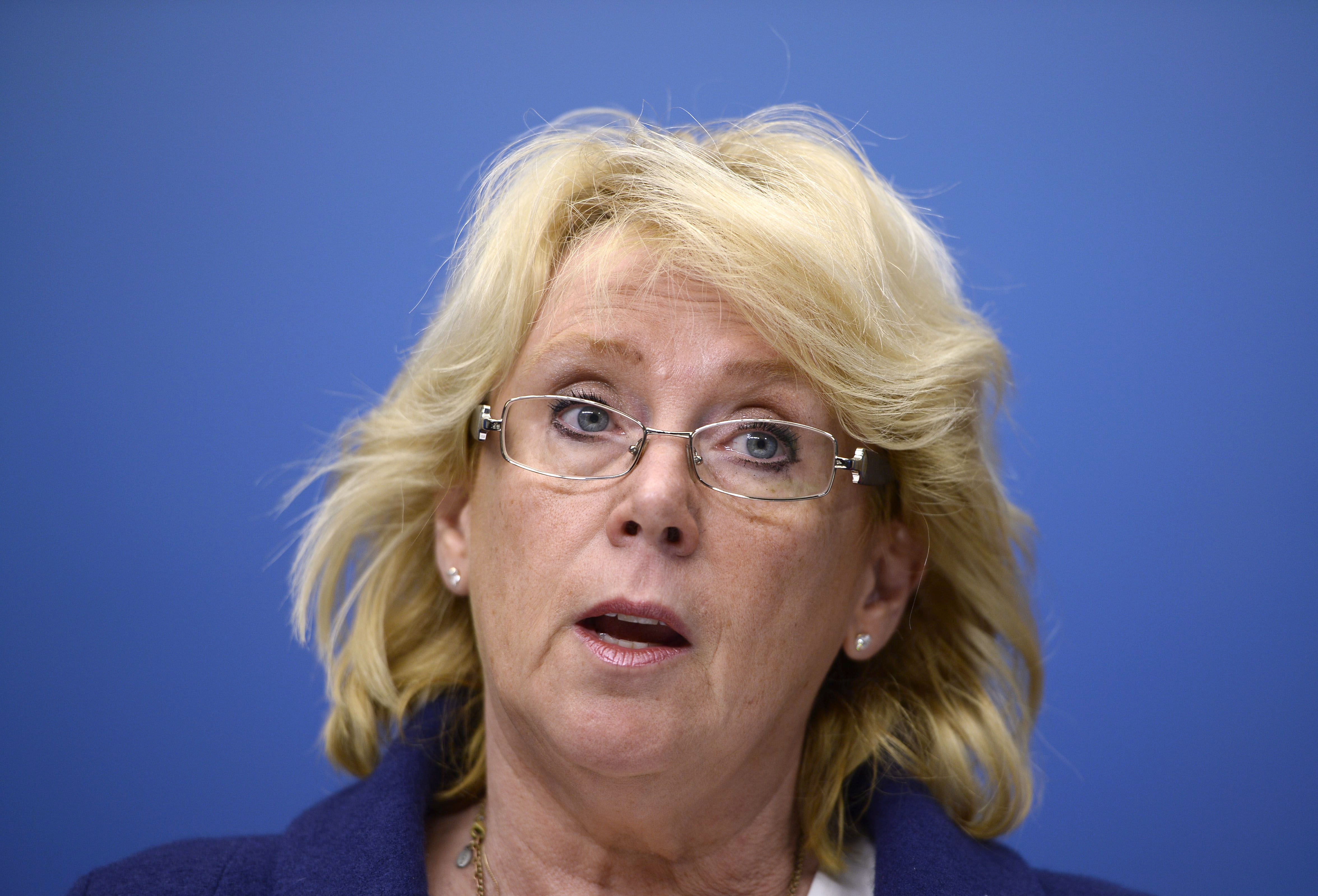 Lena Ek (C), miljöminister: 1 588 100 kronor. Lena Ek (C), miljöminister: 1 588 100 kronor.