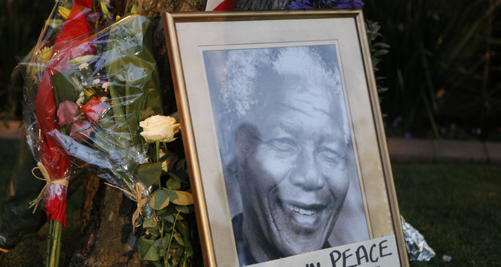 Nelson Mandela, Sydafrika