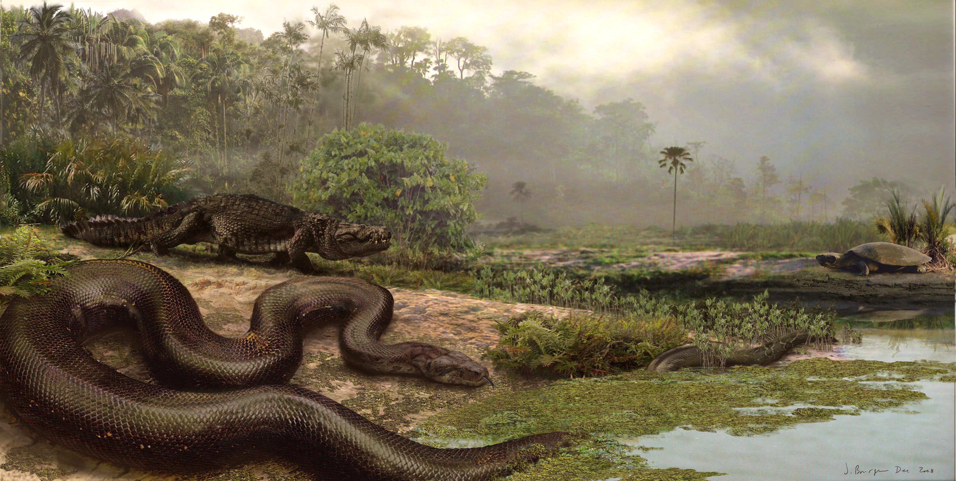 Titanboa Titanboa