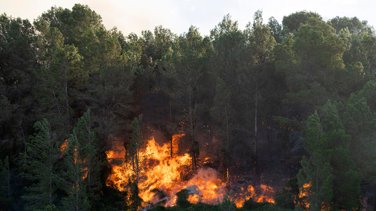 Arkivbild på en skogsbrand i Spanien.