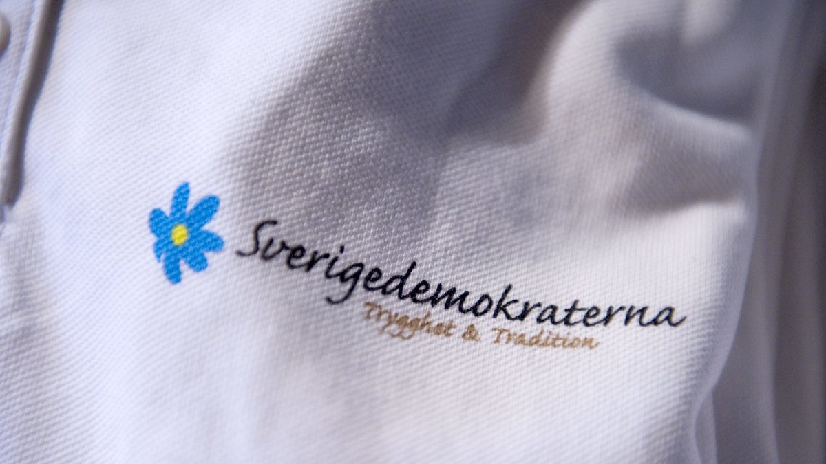 Sverigedemokraten slog till chauffören i bröstet och skrek rasistiska glåpord.
