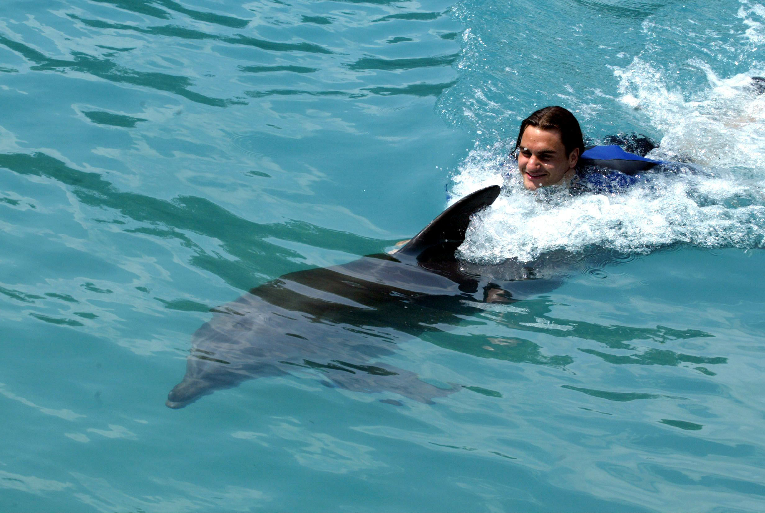 Är man rik kan man väl ändå passa på att simma med delfiner?