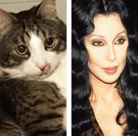 Cher. Cher.
