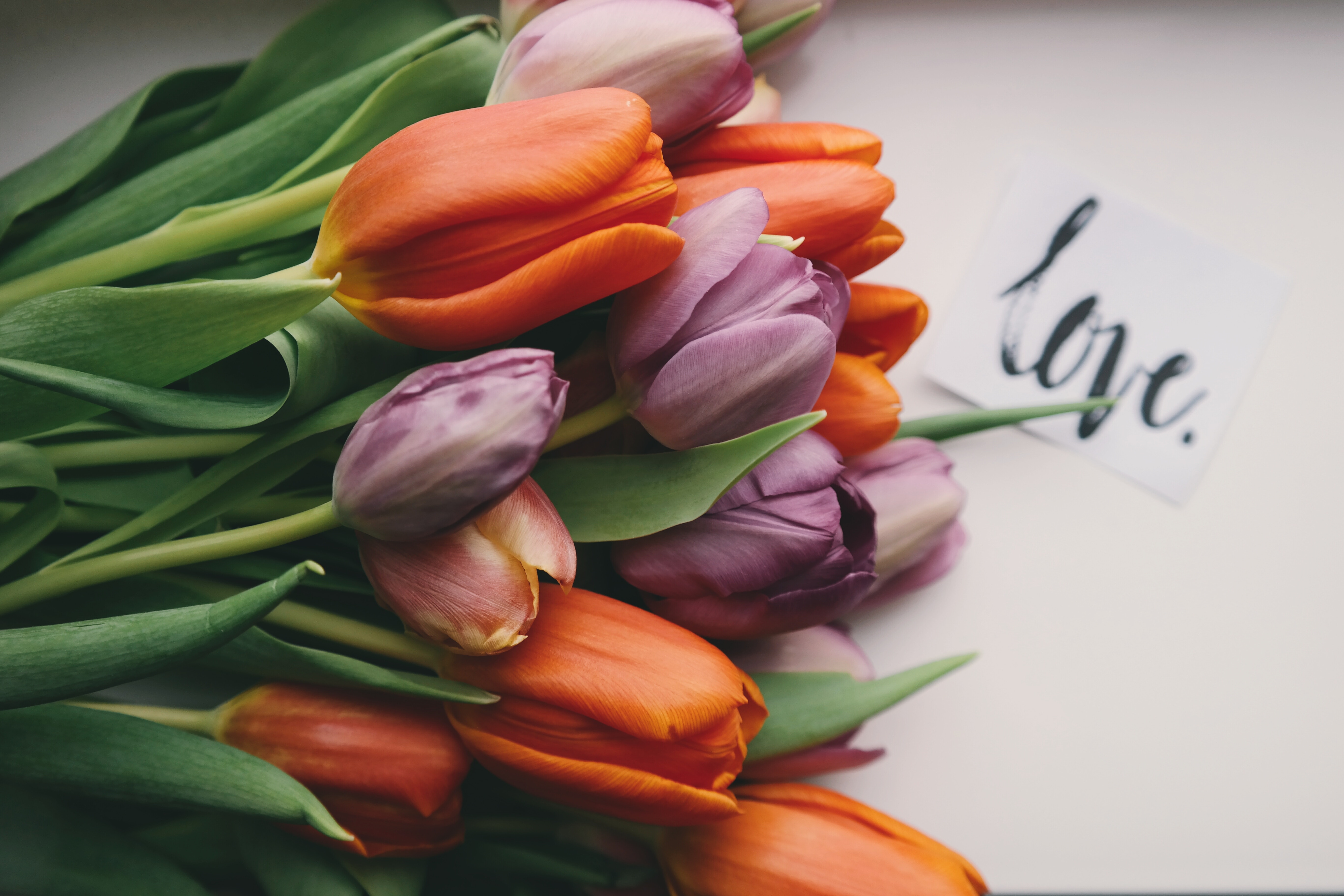 Blommor Blommor
