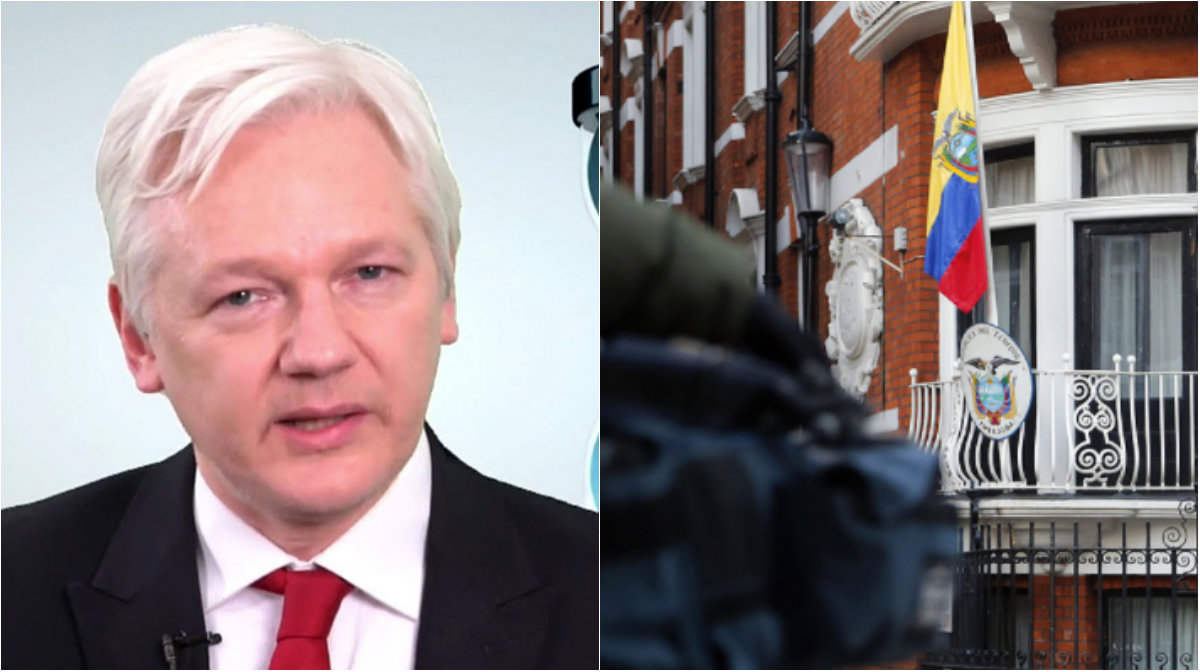 Julian Assange, Wikileaks, Utredning