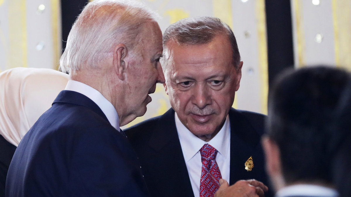 USA:s president Joe Biden och Turkiets president Recep Tayyip Erdogan har talat om F-16-flygplan och vikten av att Sverige släpps in i Nato. Arkivbild.