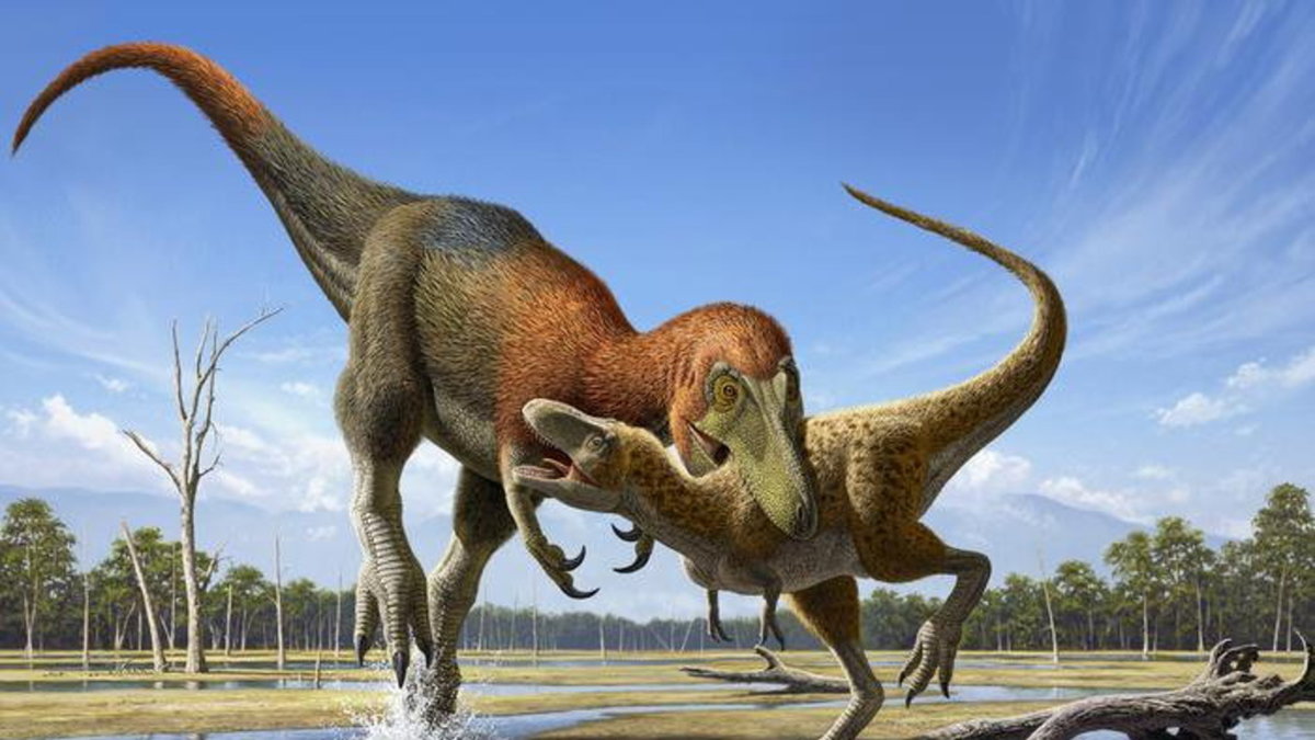 Till nyligen trodde många att fossil av rovdinosaurien Nanotyrannus inte var något annat än fossil av unga Tyrannosaurus. Nu har det visat sig att Nanotyrannus var en helt egen art. Rekonstruktionen visar en Nanotyrannus som attackerar en ung Tyrannosaurus – omvända världen.