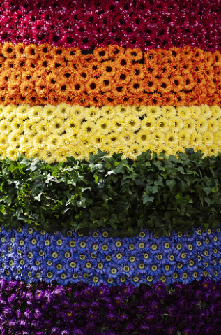 Blommor i färglada färger Blommor i färglada färger
