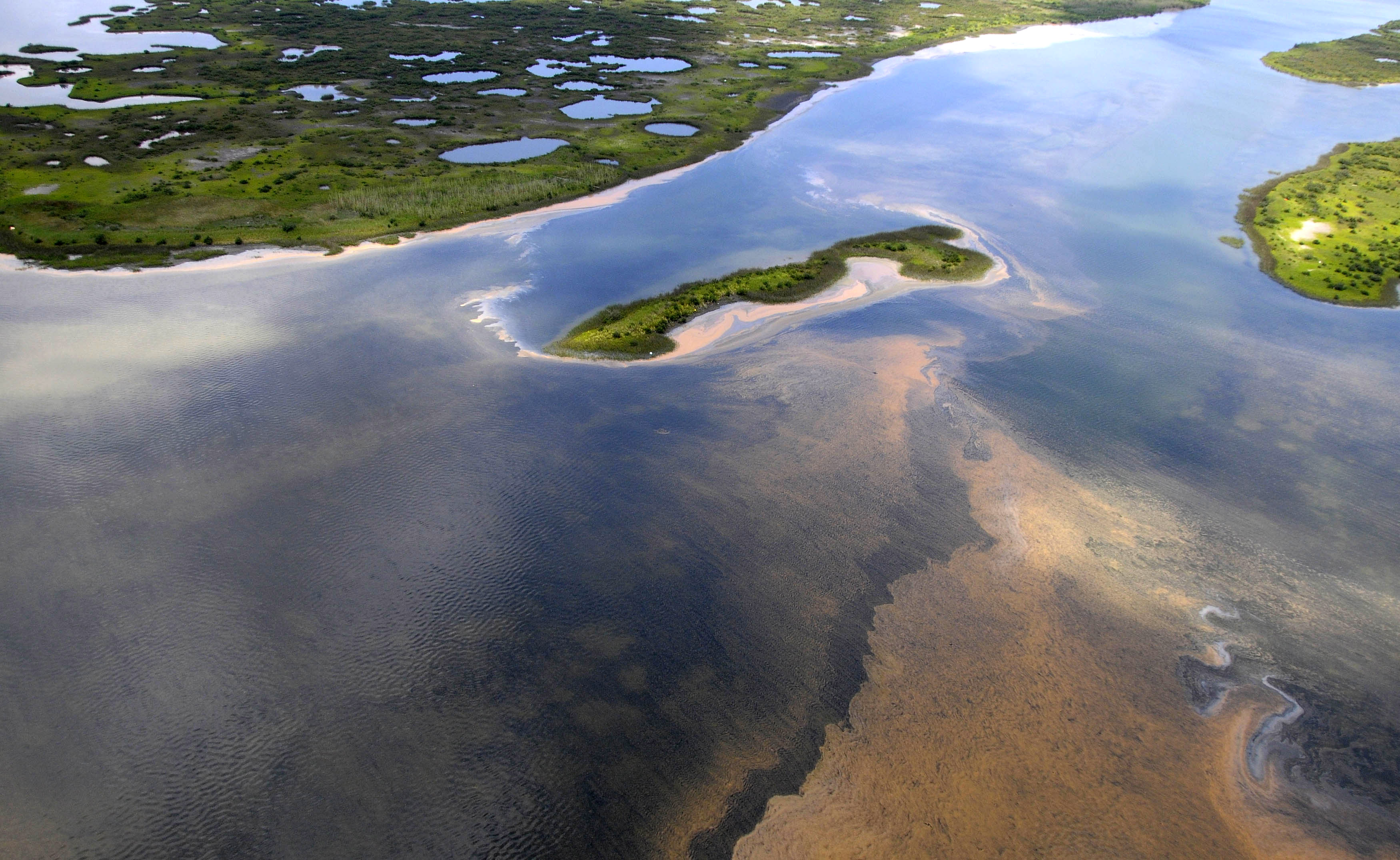 Naturlivet längs kusten är hotat av oljan. 