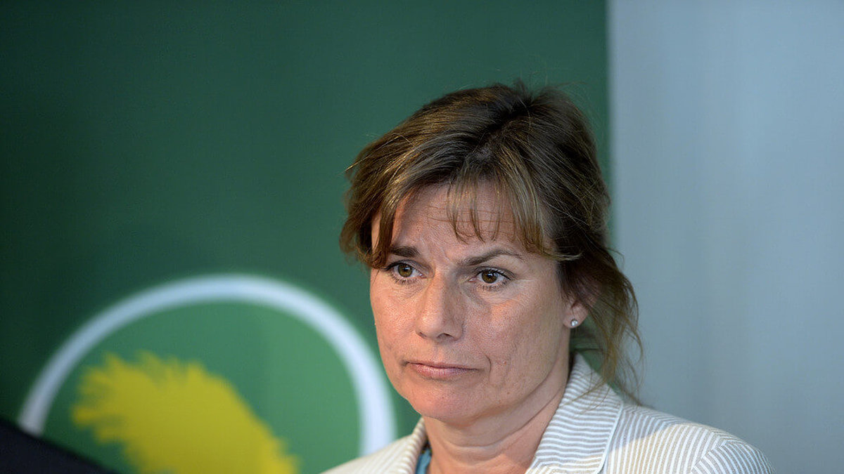 Isabella Lövin, Milöpartiets språkrör.