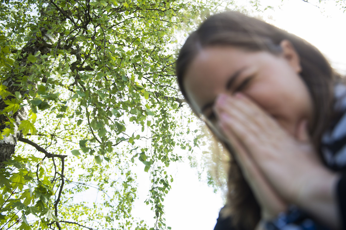 Pollen kan få de med allergier att nysa. Pollen kan få de med allergier att nysa.