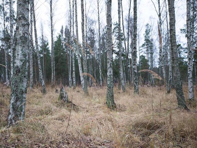 Sista, ser du den nu? Då är du sjukt grym! Sista, ser du den nu? Då är du sjukt grym!