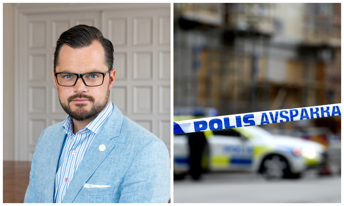 Polisen, Sverigedemokraterna, Adam Marttinen, Kriminalitet, Debatt, Brott och straff, Straff, Vittnen