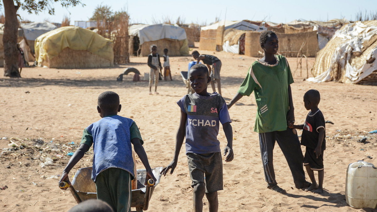 Hundratusentals sudaneser har flytt till östra Tchad, där resurserna är bristfälliga.