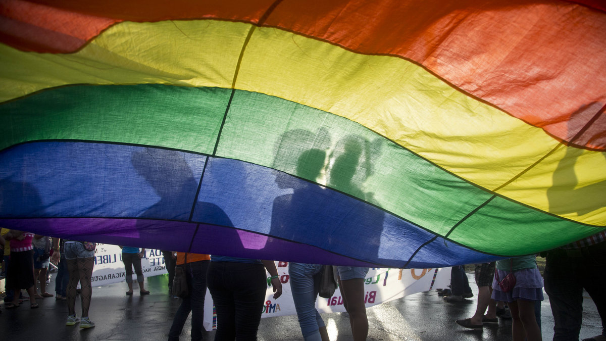 Regnbågsflaggan på en Prideparad.
