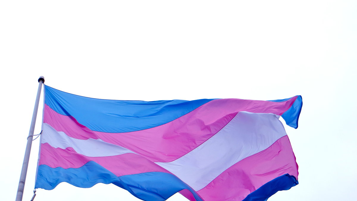 Transpersoners och HBTQIA-personer rättigheter måste uppmärksammas mer i Turkiet enligt flera aktivistgrupper. 