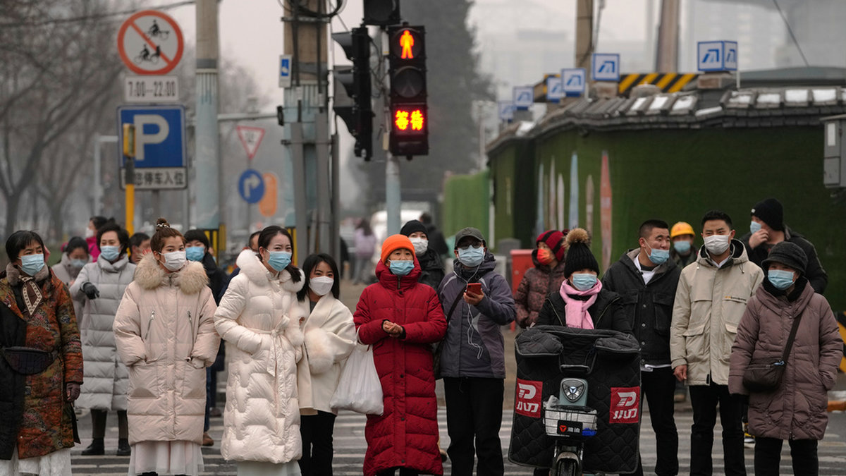 Pekingbor med munskydd väntar på att få gå över ett övergångsställe.