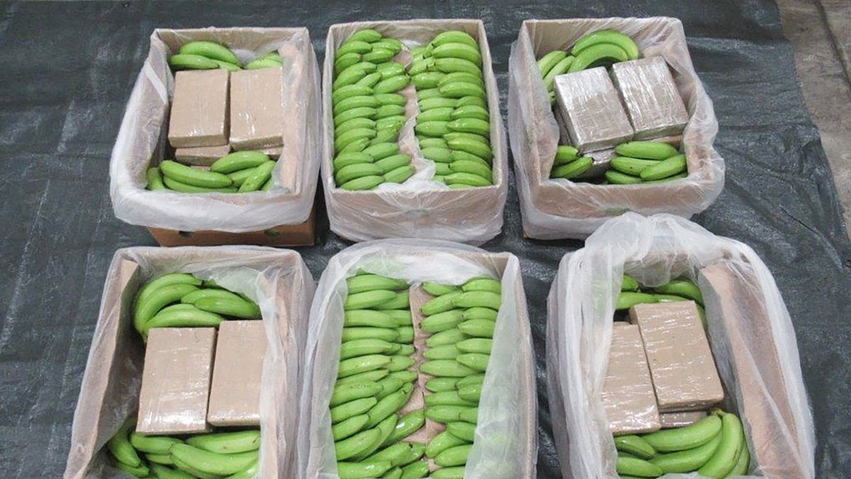 Den brittiska polisen har tillhandahållit bilden som visar delat av kokainbeslaget som gömts i en last bananer från Sydamerika.