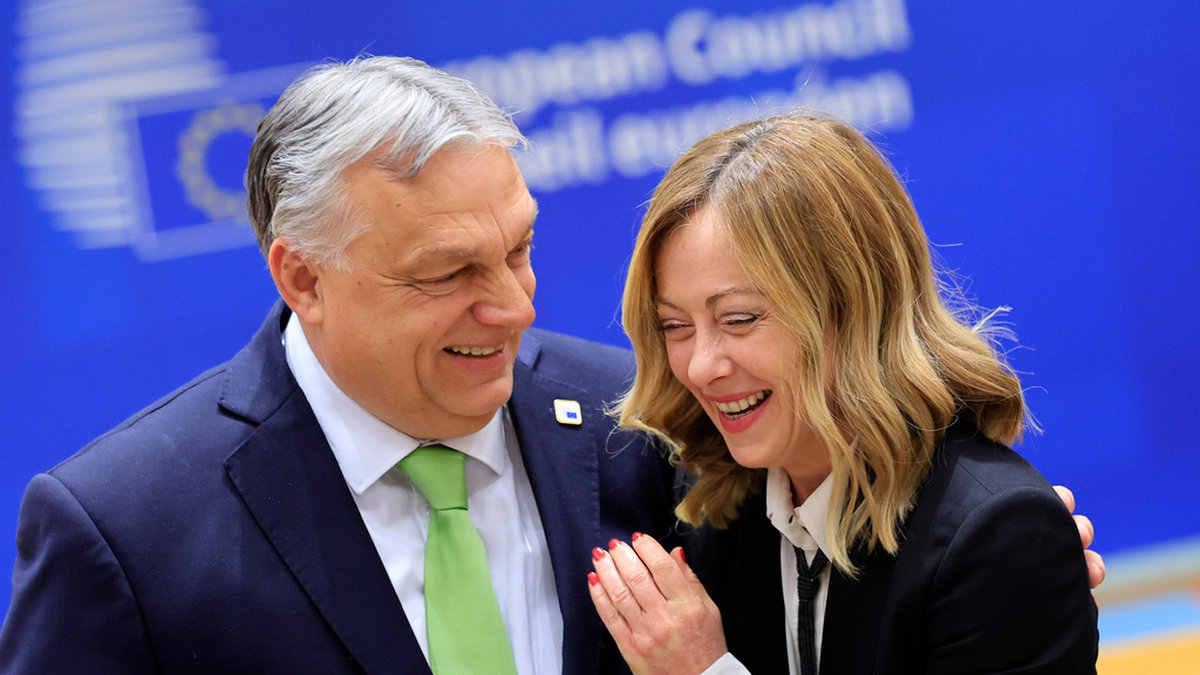 Ungerns premiärminister Viktor Orbán i glatt samspråk med Italiens premiärminister Giorgia Meloni vid torsdagens EU-toppmöte i Bryssel.